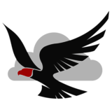 Falcon Software